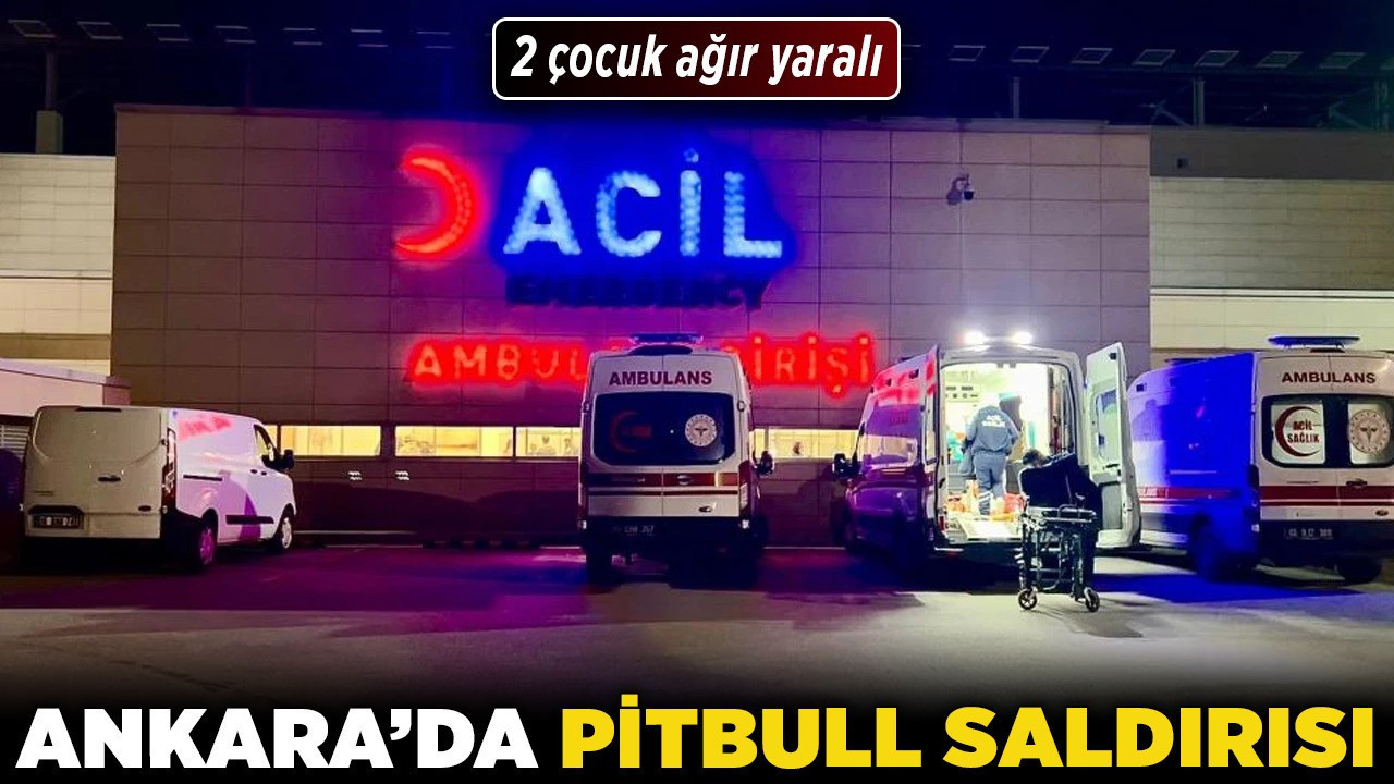 Ankara'da pitbull saldırısı! 2 çocuk ağır yaralı