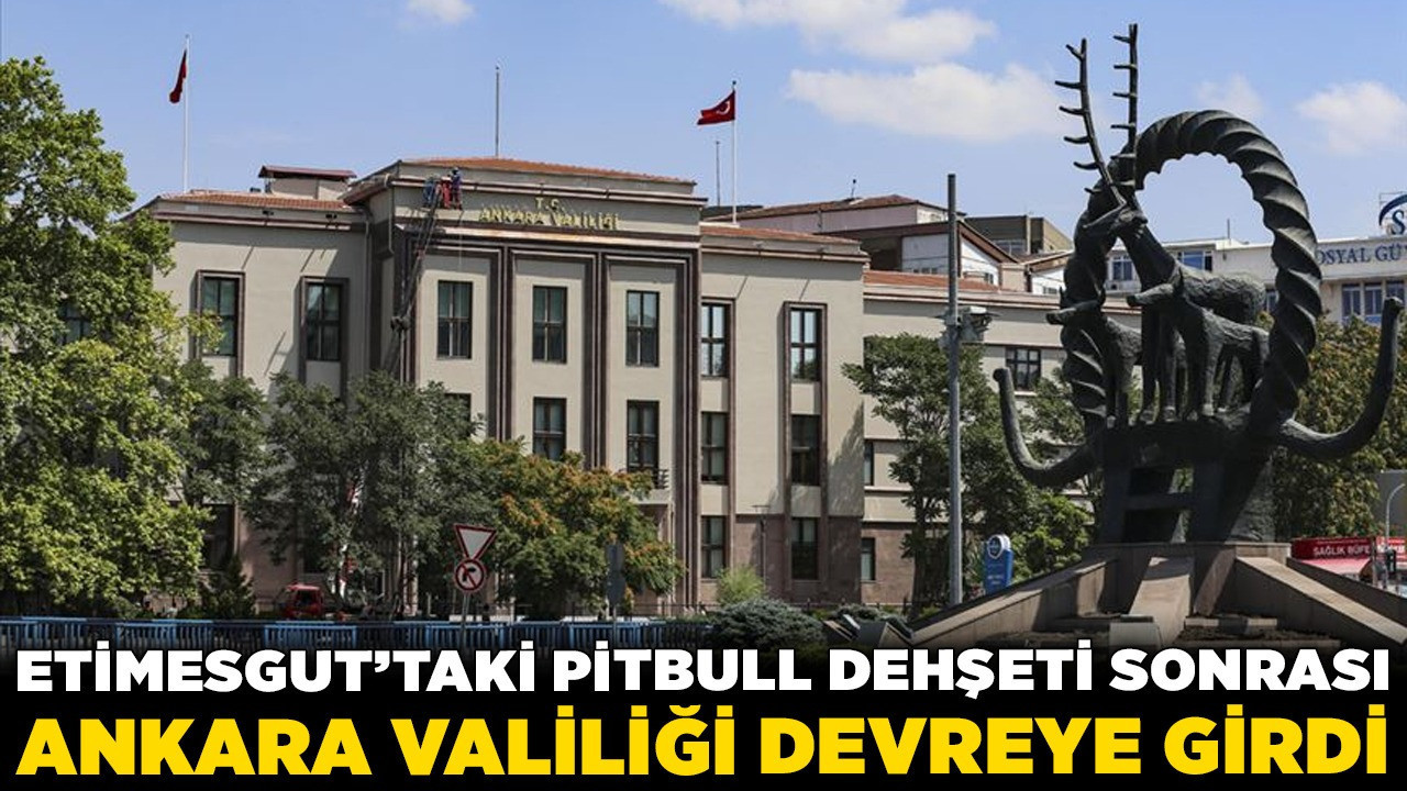 Etimesgut'taki pitbull dehşeti sonrası Ankara Valiliği devreye girdi!