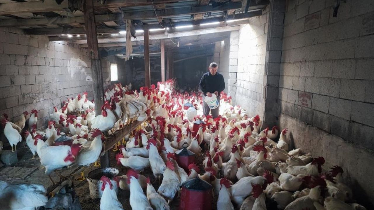 Yozgat'tan Türkiye'ye örnek: Tüketmek yerine üreten emekli öğretmenin hikayesi!