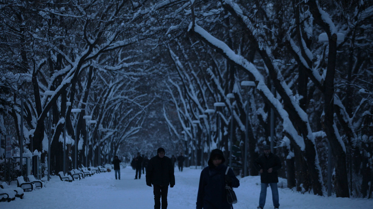 Kurtuluş Parkı’nda "budama" tartışması: Gençleştirme mi, ağaç katliamı mı?