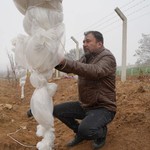 Mart soğuğu üreticiyi zorluyor: Don tehlikesine karşı tedbirler alındı