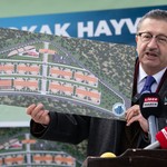 Altındağ’a 75 Bin Metrekarelik Sokak Hayvanları Yaşam Merkezi İnşa Ediliyor