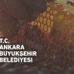 Ankara Büyükşehir Belediyesinden müjde! Yüzde 75 hibeli arı yemi dağıtımı başvuruları uzatıldı