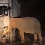 Gecenin karanlığında kahreden görüntü
