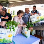 Gölbaşı Belediyesi ata tohumu fidelerini vatandaşlarla buluşturdu