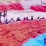 Polatlı’da soğan deposunda kavga!