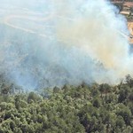 Balıkesir'de orman yangını