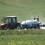 Çiftçiler, zararlı bitkiye karşı önlem almaya başladı