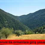 Çorum'da ormanlara giriş yasağı getirildi