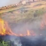 Polatlı’da hobi bahçesinde çıkan yangın, arpa tarlasını küle çevirdi!