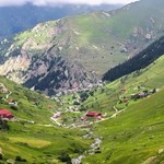 Trabzon’da yaylada 75 kişi siste kayboldu: Ekipler seferber edildi