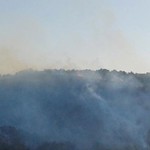 Hatay'da orman yangını! Havadan ve karadan müdahale sürüyor