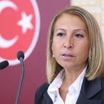 CHP'li Derici "zeytinliklerin kanun yoluyla köylünün elinden alınmaya çalışıldığını" ileri sürdü