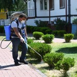 Kahramankazan’da hummalı haşere operasyonu
