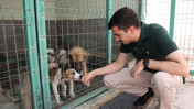 Başkan Güner, sokak hayvanları polemiğine son noktayı koydu! “Ne katliam ne sessizlik"