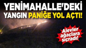 Yenimahalle'deki yangın paniğe yol açtı! Alevler ağaçlara sıçradı!
