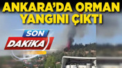 Ankara’da orman yangını çıktı