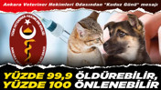 Ankara Veteriner Hekimleri Odasından "Kuduz Günü" mesajı: Yüzde 99,9 öldürebilir, yüzde 100 önlenebilir