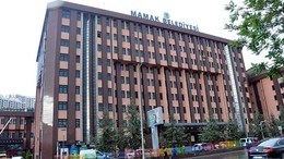 Mamak’ta hayvanseverlerden protesto: Barınak koşullarına tepki büyüyor