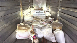 Kırşehir'de kaçak tütün operasyonu: 3 tonun üzerinde kıyılmış tütün ele geçirildi