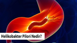 Helikobakter Pilori Nedir?