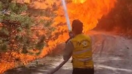 Aydın’da orman yangını: Ekipler seferber oldu