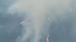 Balıkesir'de orman yangını