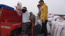 Yozgat'ta üreticinin nohuttan beklentisi yüksek