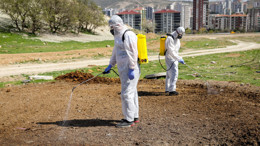 Etimesgut'ta sinek ve haşerelerle mücadele! İlaçlama çalışmaları başladı