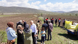 Ankara'da sağlıklı geleceğe yerli adım: Karabuğday Kızılcahamam topraklarında