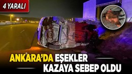 Ankara'da eşekler kazaya sebep oldu: 4 yaralı