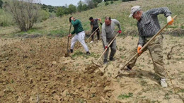 Bahar geldi bağlar bellendi