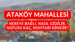 Ataköy Mahallesi nereye bağlı, nasıl gidilir, nüfusu kaç, muhtarı kimdir?