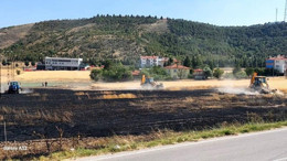 Beypazarı'nda tarla yangını! Çok sayıda tavuk telef oldu