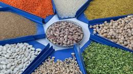 Gazi Üniversitesi Öğretim Üyesi Coşkun: Kanserden kurtulanlarda yetersiz beslenme ölüme yol açabilir