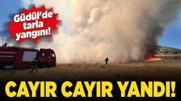 Güdül'de tarla yangını! Cayır cayır yandı!