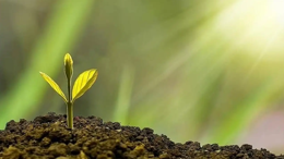 İklim kanunu nedir, maddeleri nelerdir, avantajları nelerdir, dezavantajları nelerdir?
