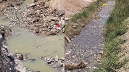 Pursaklar’da acı görüntü: Balık ölümleri endişe yarattı