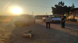 Boğazlıyan’da başıboş köpek, 8 yaşındaki çocuğu hastanelik etti