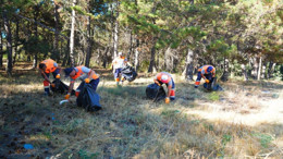 Eymir Gölü'ndeki yangının ardından soğutma ve temizlik çalışmaları sürüyor