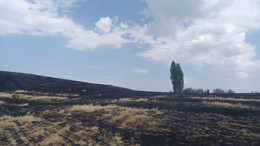 ÇEDAŞ'ın arızalanan trafosu 400 dönüm araziyi kül etti