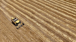 Pursaklar’da sayım bürosuna yoğun ilgi! Vatandaşlar mesajla bilgilendiriliyor