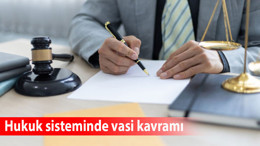 Hukuk sisteminde vasi kavramı: Sorumluluklar ve yasal süreç