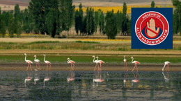 Kırşehir'de altın madeni projesine tepki! Gözler 5 Ağustos’taki toplantıya çevrildi