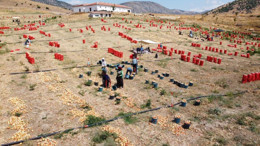 Aydıncık’ta mevsimlik soğan işçilerinin meşakkatli mesaisi sürüyor