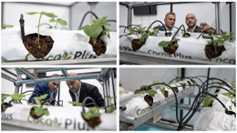 Yerli otomasyon sistemiyle verim yüzde 40 arttı