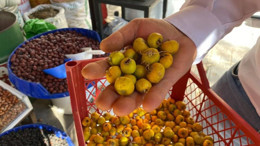 Kışa hazırlık: Alıç, bitki çayları ve propolis bağışıklığın kalkanı