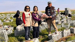 Beypazarı’nda pestisit kullanımına yakın takip!