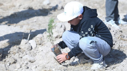 Erdoğan’ın “Yeşil Vatan Seferberliği”ne Kayseri’den 3 bin fidanlık destek