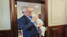 O belediye başkanı, makamında kedi besliyor: Pati dostu projeleriyle farkındalık yaratıyor!